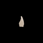 Platinum 5 L75 - immagine 3